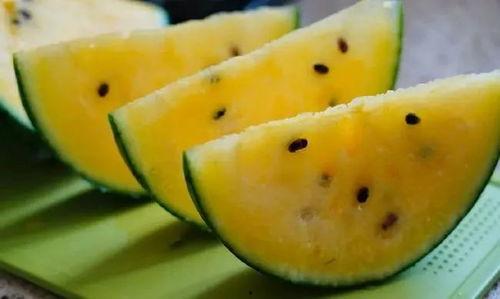 在甘肃吃瓜,探寻丝绸之路上的甜蜜之旅