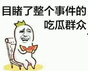 只会吃瓜的阿杉,揭秘吃瓜群众的趣味生活