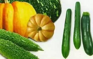 老瓜还能这样吃,探索创意烹饪新境界