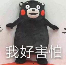 热门吃瓜事件8月,盘点那些引爆网络的热门事件