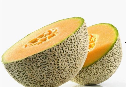 溶血吃哈密瓜