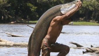 渔民吃八瓜鱼,渔民餐桌上的海味珍馐